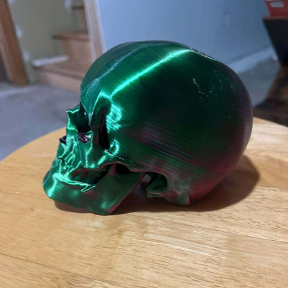 Skull of Unknown Origin - 3D Model Replica