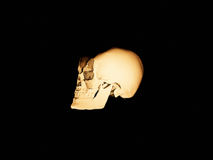 Zeb STL 3d Model - Skull of Unknown Origin - Rotating Gif