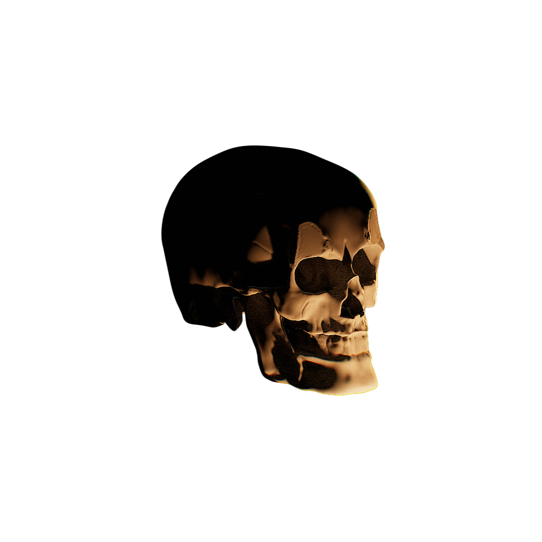Side View - 3D rendering of Skull of Unknown Origin - ZebSTL