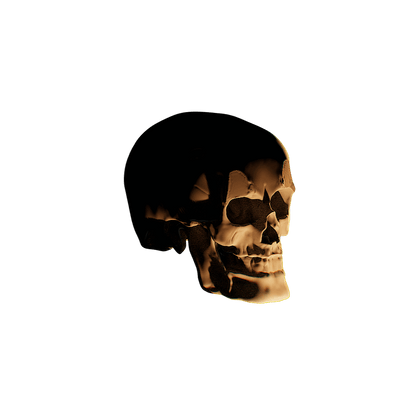 Side View - 3D rendering of Skull of Unknown Origin - ZebSTL