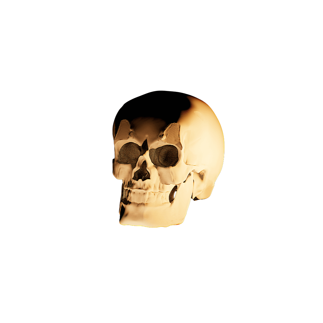 Front View - 3d Rendering of Skull of Unknown Origin - ZebSTL