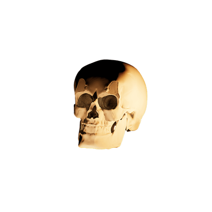 Front View - 3d Rendering of Skull of Unknown Origin - ZebSTL